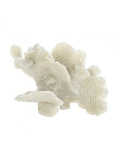 LARGE WHITE CORAL TABLETOP DECOR